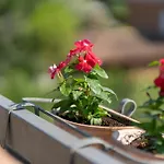 Un Balcone Su By Ospitaci Spello