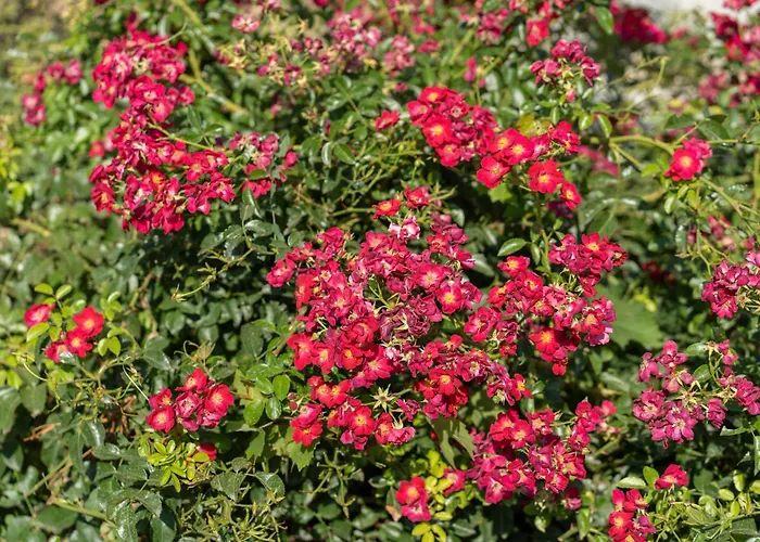 Apartamento Un Balcone Su By Ospitaci