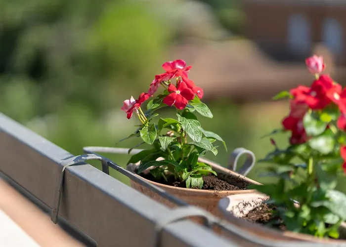 Un Balcone Su By Ospitaci Spello